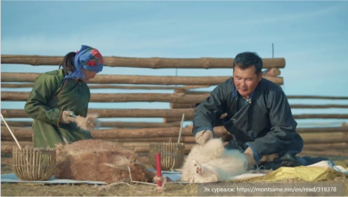 🐑 “Цахим хоршоо” төслийн суурь судалгааны ажлыг гүйцэтгэж эхлэлээ